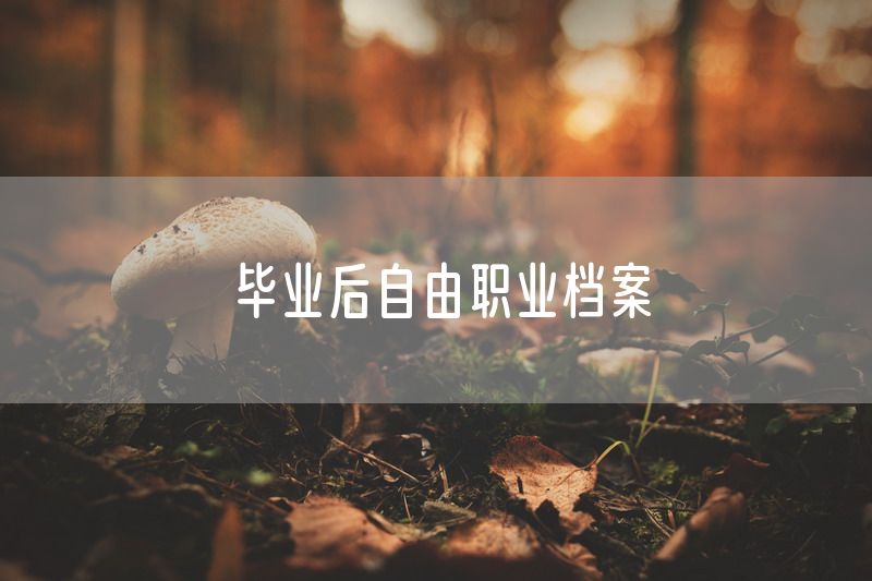 毕业后自由职业档案