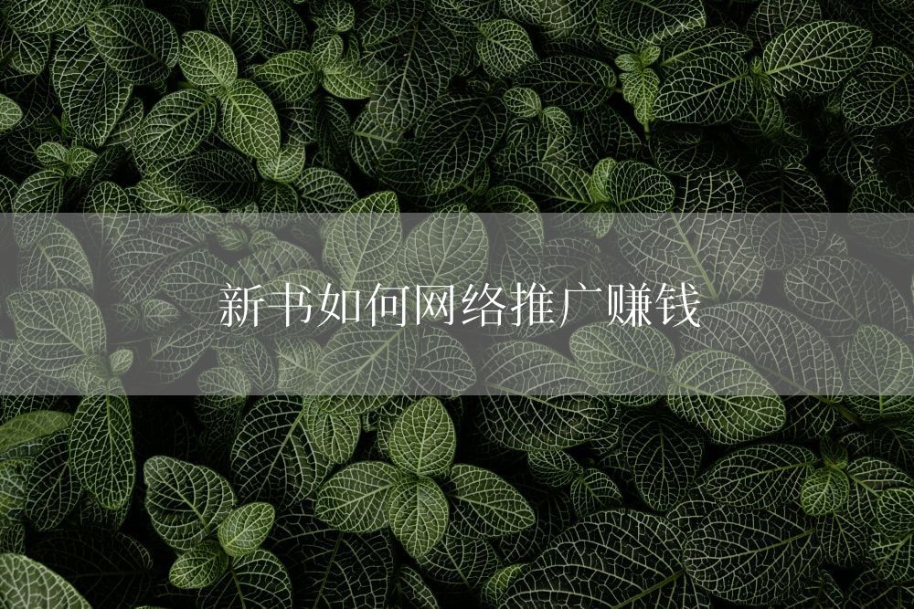 新书如何网络推广赚钱