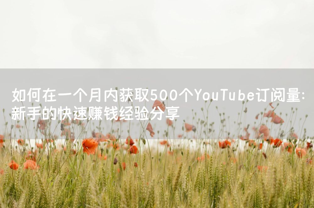 如何在一个月内获取500个YouTube订阅量：新手的快速赚钱经验分享