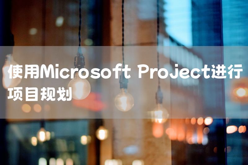 使用Microsoft Project进行项目规划