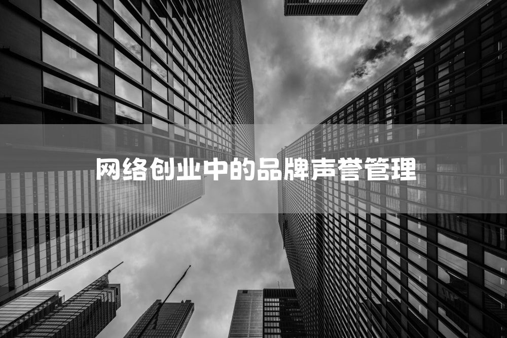 网络创业中的品牌声誉管理