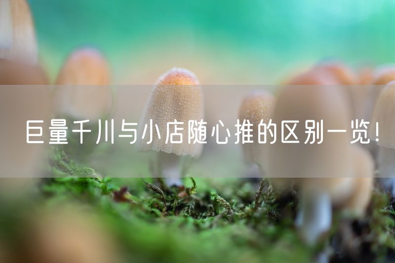 巨量千川与小店随心推的区别一览！