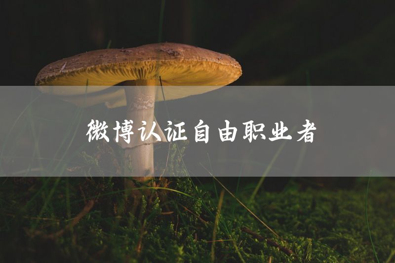 微博认证自由职业者