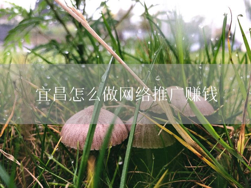 宜昌怎么做网络推广赚钱