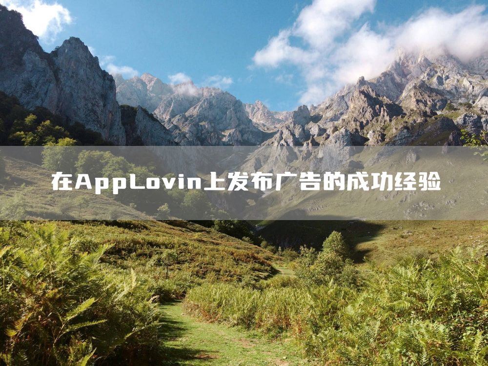 在AppLovin上发布广告的成功经验