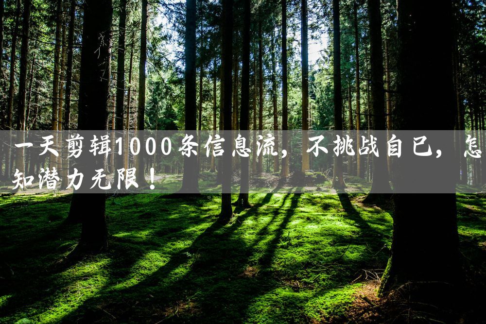 一天剪辑1000条信息流，不挑战自己，怎知潜力无限！