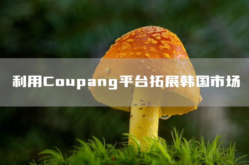 利用Coupang平台拓展韩国市场