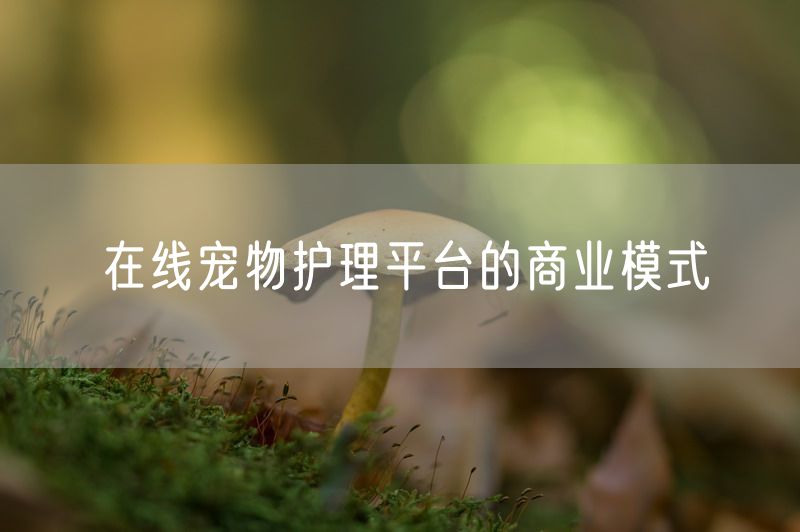 在线宠物护理平台的商业模式