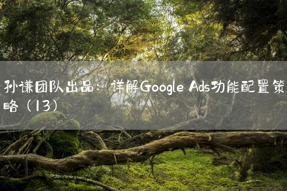 孙谦团队出品：详解Google Ads功能配置策略（13）