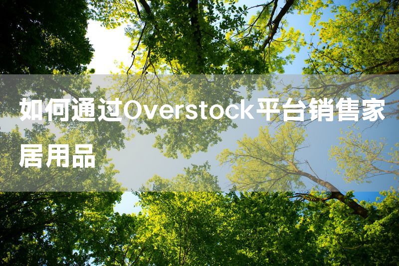 如何通过Overstock平台销售家居用品