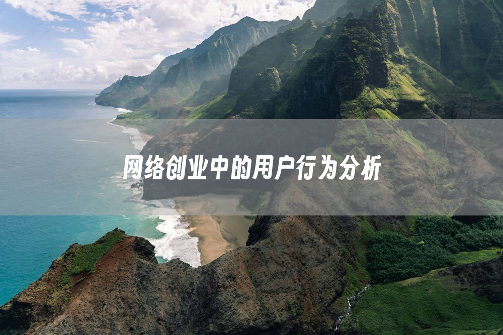 网络创业中的用户行为分析