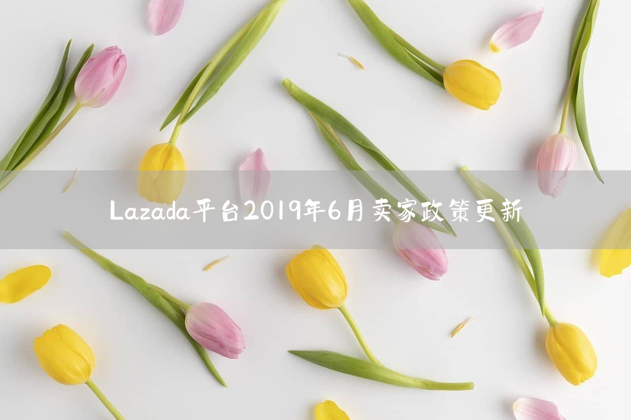 Lazada平台2019年6月卖家政策更新