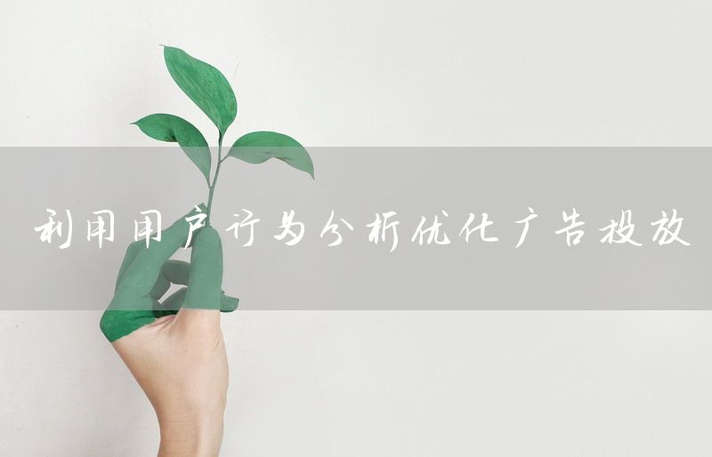 利用用户行为分析优化广告投放