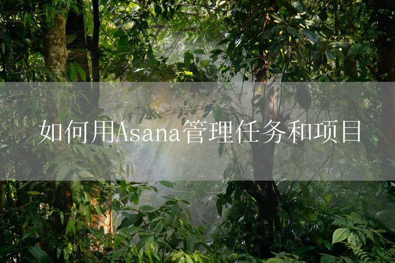 如何用Asana管理任务和项目