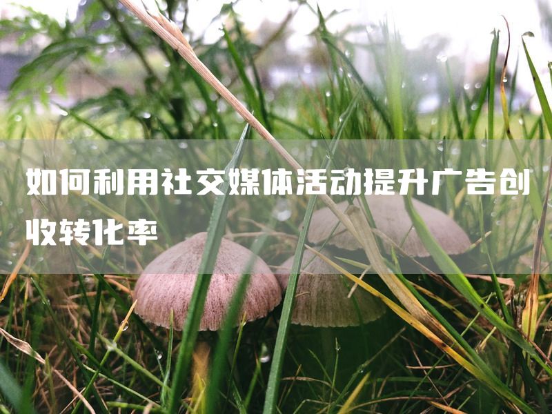 如何利用社交媒体活动提升广告创收转化率