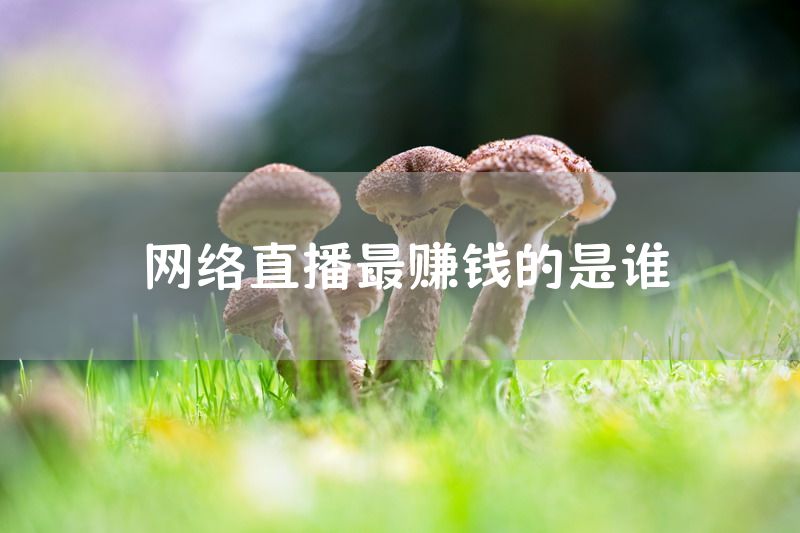 网络直播最赚钱的是谁