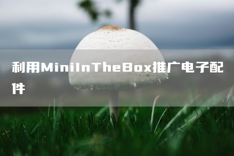 利用MiniInTheBox推广电子配件