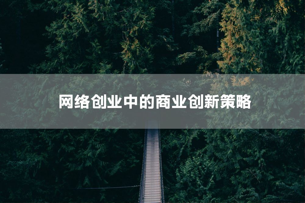 网络创业中的商业创新策略