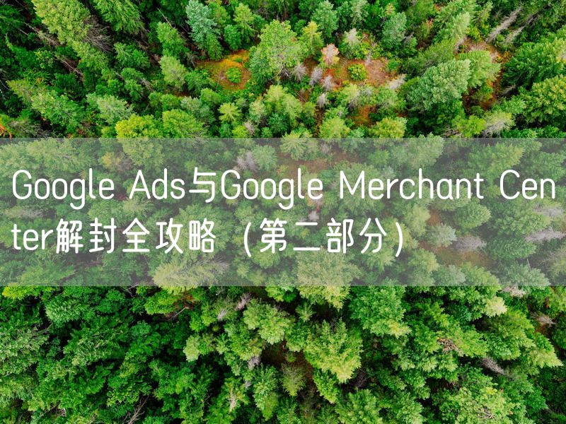 Google Ads与Google Merchant Center解封全攻略（第二部分）