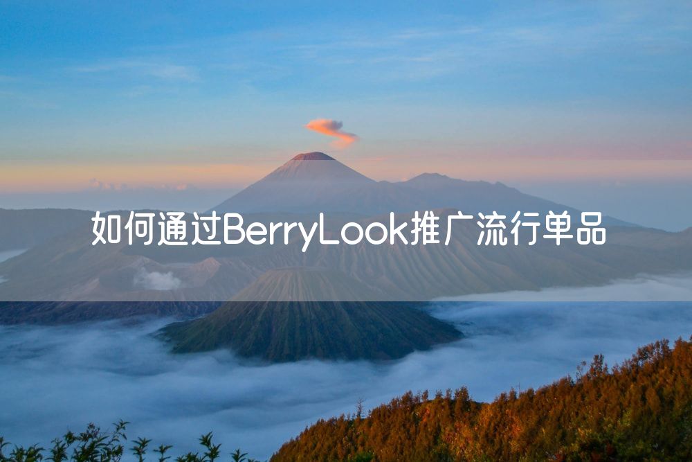 如何通过BerryLook推广流行单品