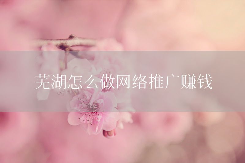 芜湖怎么做网络推广赚钱