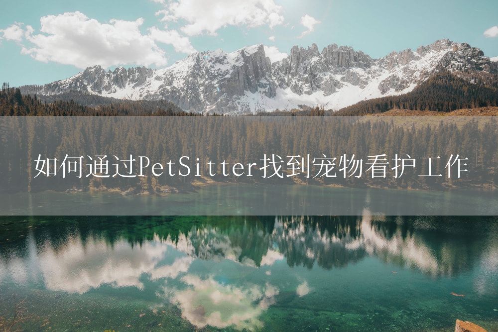 如何通过PetSitter找到宠物看护工作