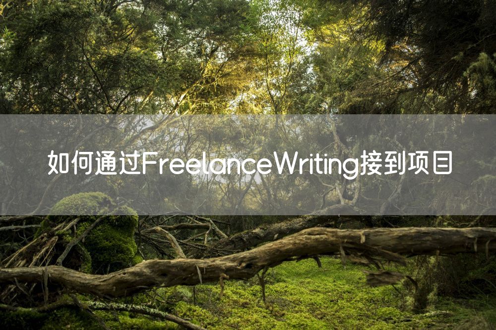 如何通过FreelanceWriting接到项目