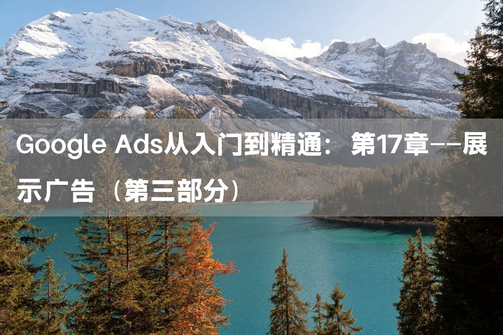 Google Ads从入门到精通：第17章——展示广告（第三部分）