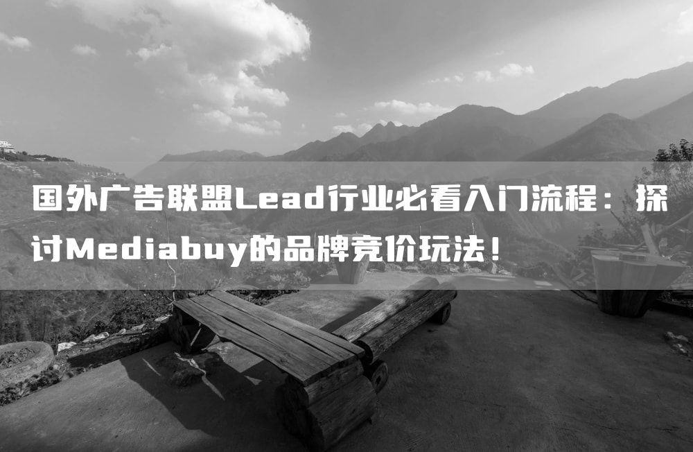 国外广告联盟Lead行业必看入门流程：探讨Mediabuy的品牌竞价玩法！