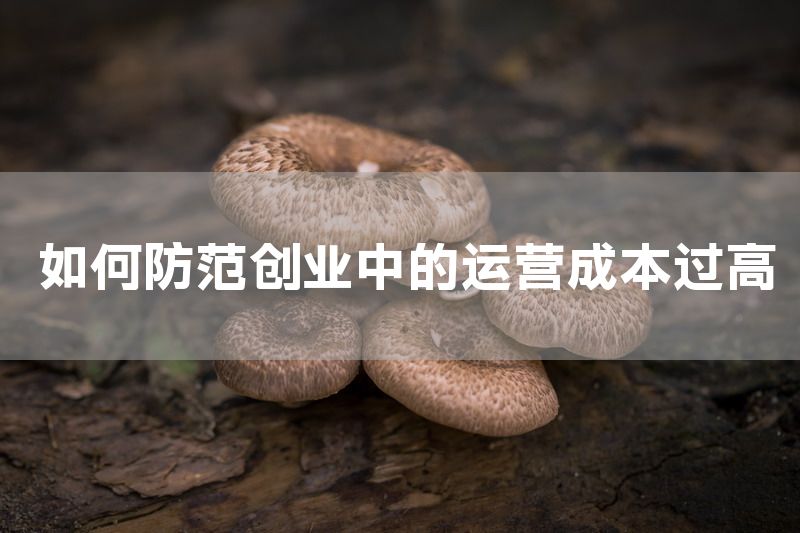 如何防范创业中的运营成本过高