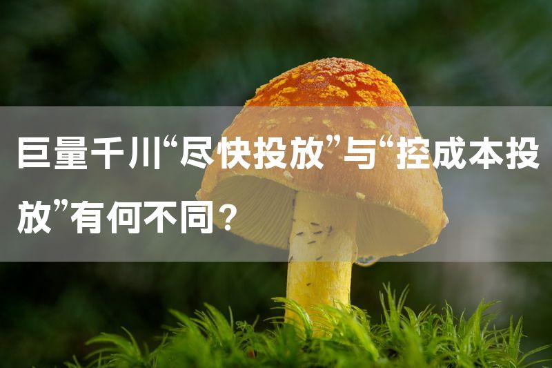 巨量千川“尽快投放”与“控成本投放”有何不同？