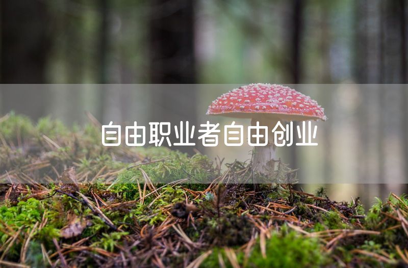 自由职业者自由创业