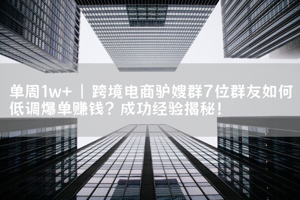 单周1w+ | 跨境电商驴嫂群7位群友如何低调爆单赚钱？成功经验揭秘！