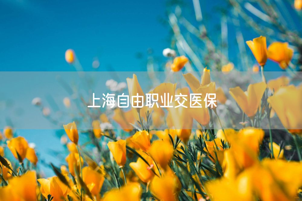 上海自由职业交医保