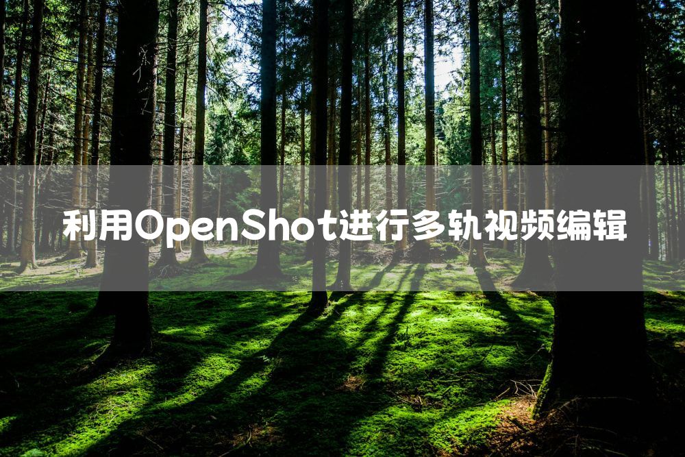 利用OpenShot进行多轨视频编辑