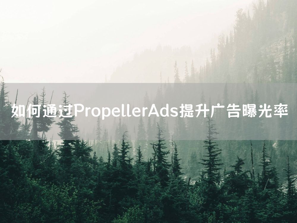 如何通过PropellerAds提升广告曝光率