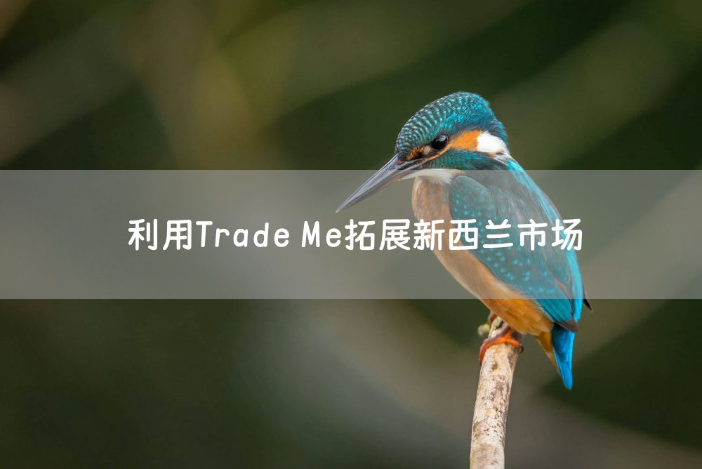 利用Trade Me拓展新西兰市场