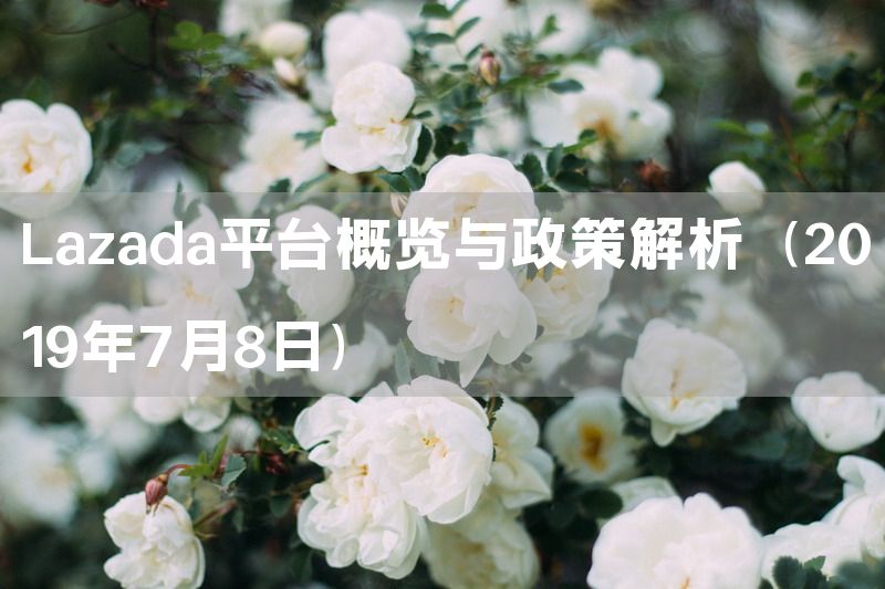 Lazada平台概览与政策解析（2019年7月8日）