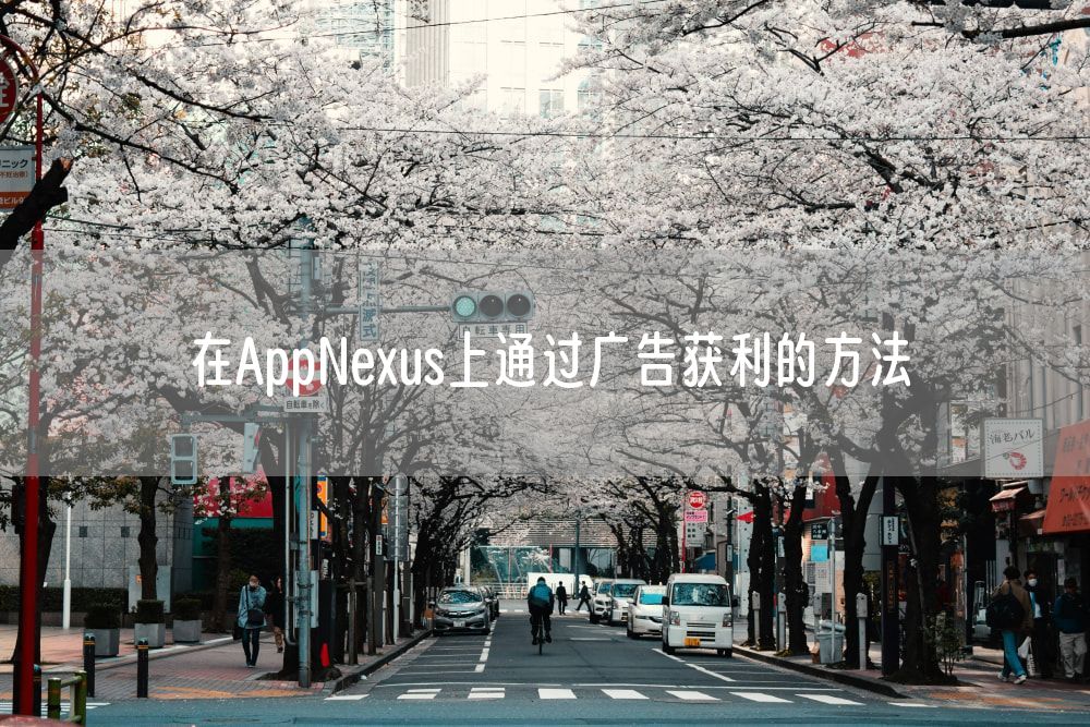 在AppNexus上通过广告获利的方法