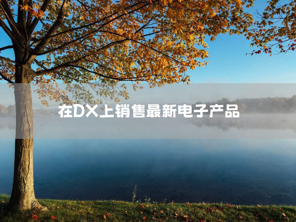 在DX上销售最新电子产品