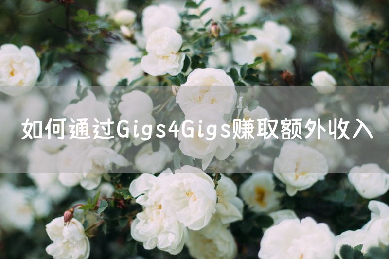 如何通过Gigs4Gigs赚取额外收入