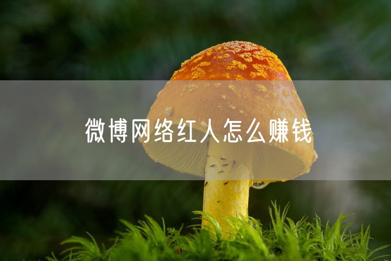 微博网络红人怎么赚钱