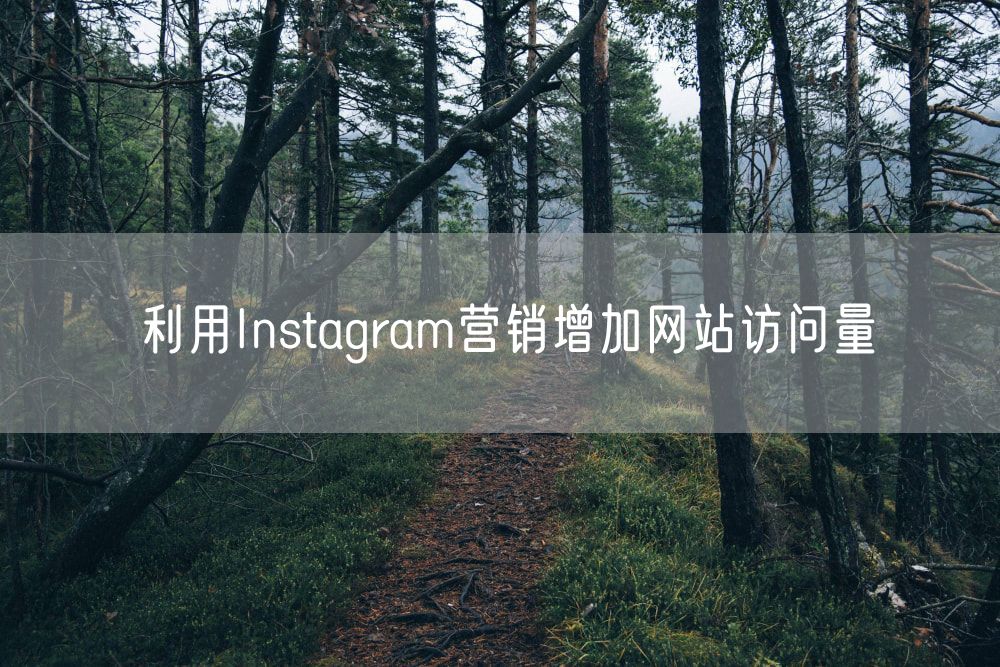 利用Instagram营销增加网站访问量