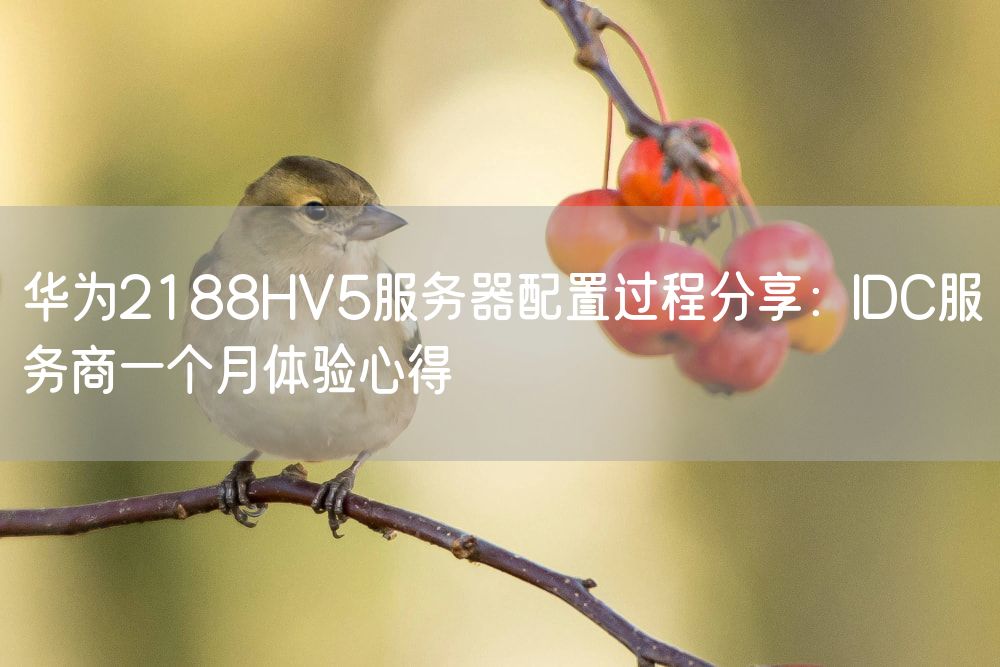 华为2188HV5服务器配置过程分享：IDC服务商一个月体验心得