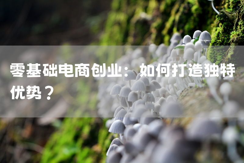 零基础电商创业：如何打造独特优势？