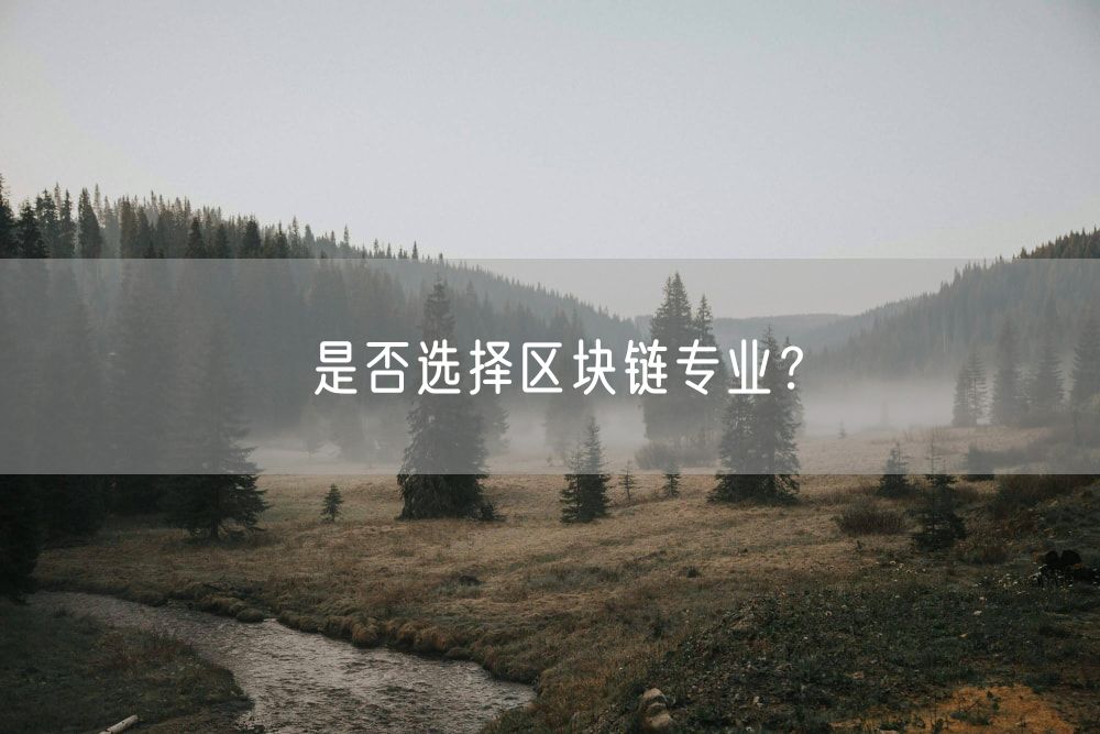 是否选择区块链专业？