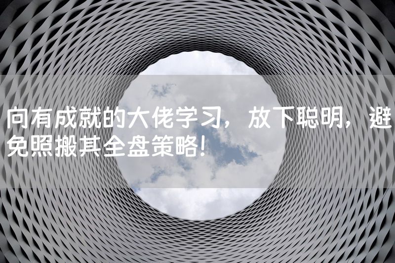 向有成就的大佬学习，放下聪明，避免照搬其全盘策略！