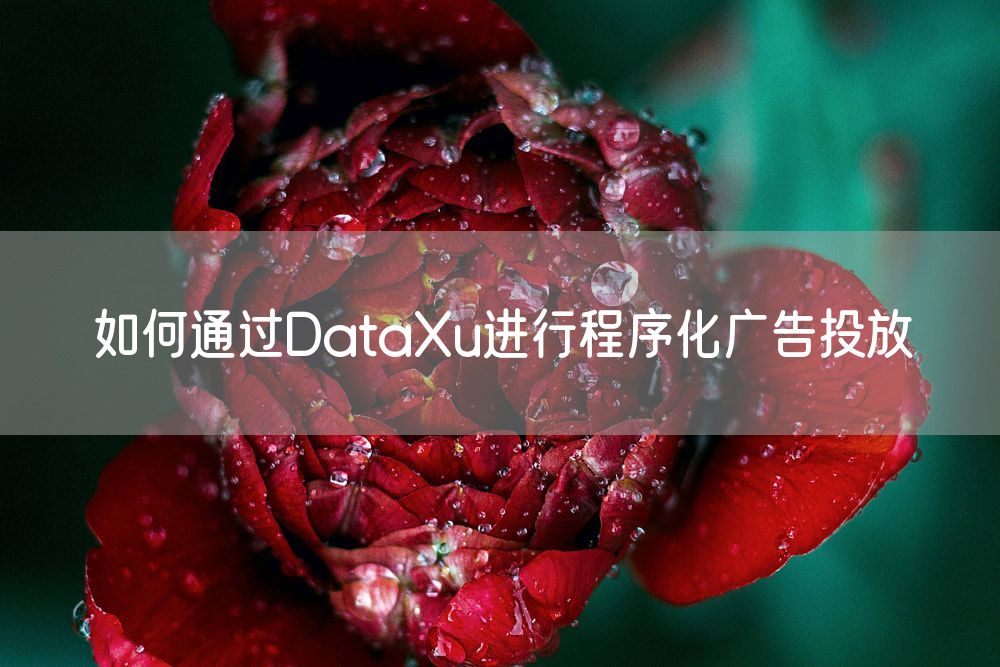 如何通过DataXu进行程序化广告投放