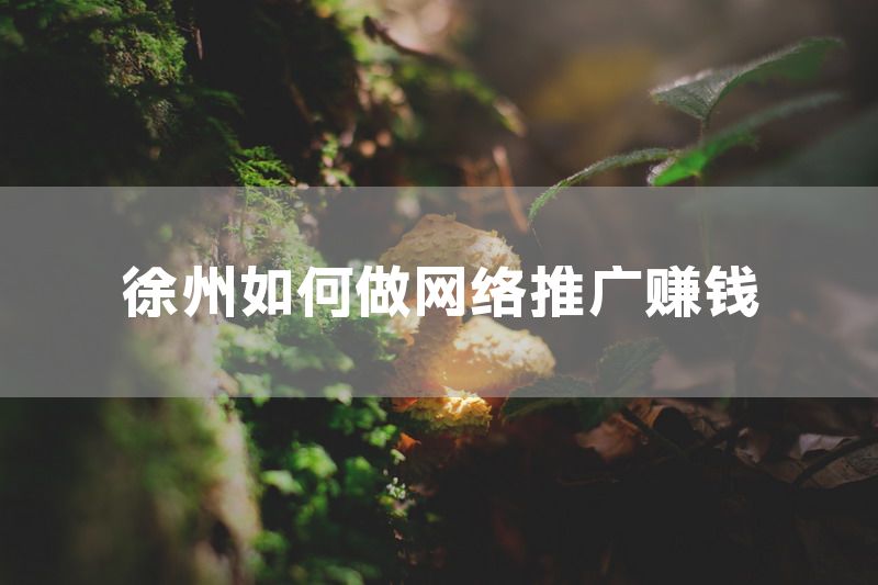 徐州如何做网络推广赚钱