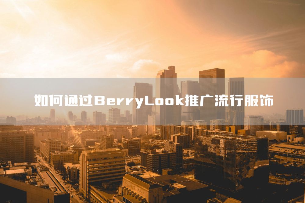 如何通过BerryLook推广流行服饰